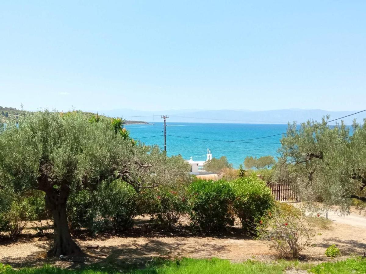 Votsalo Summer House By The Beach Porto Heli Eksteriør billede